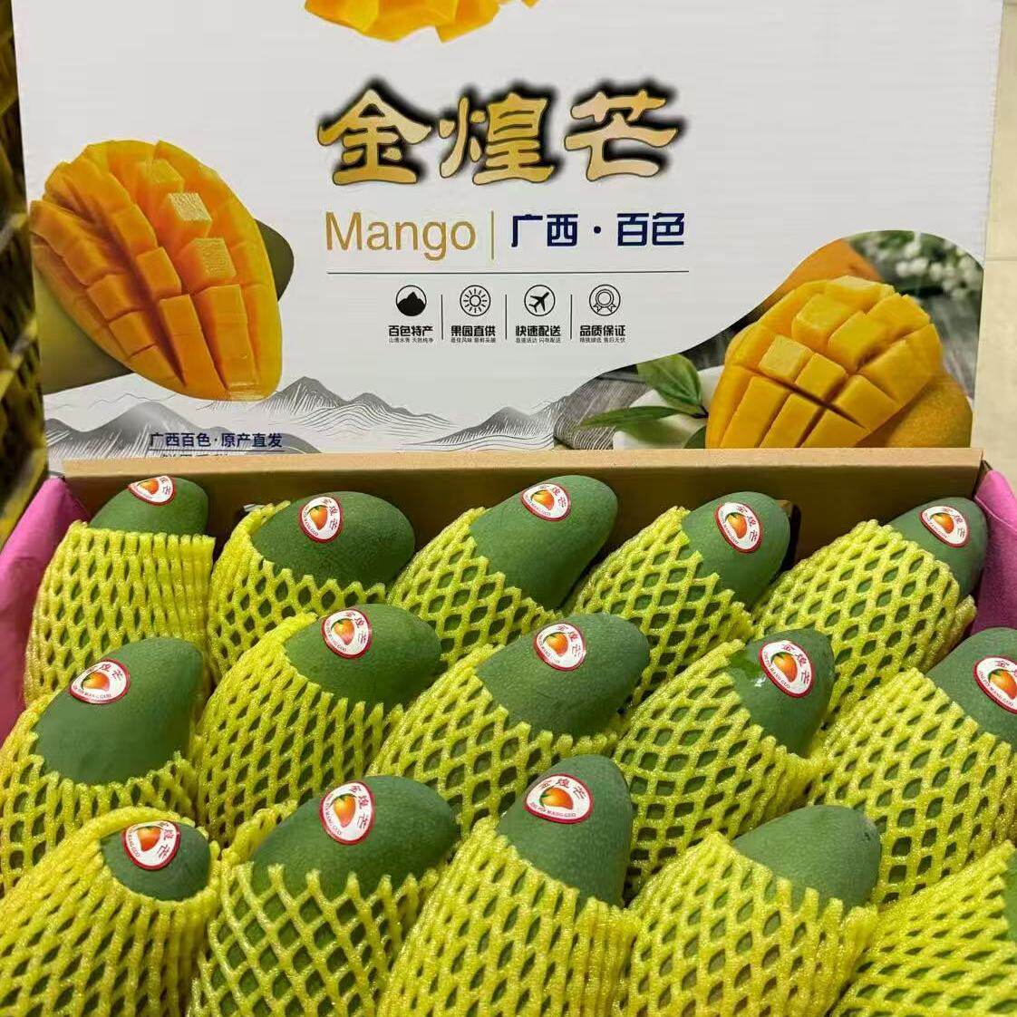 广西百色精品大金煌芒整箱10斤当季热带树上熟芒果水仙芒可顺丰