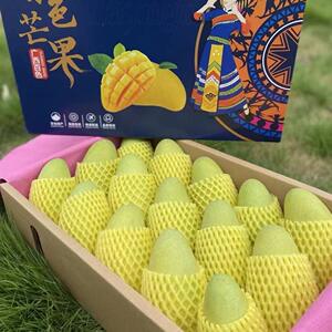广西百色大金煌芒果礼盒10斤装树上金煌芒生熟两吃顺丰可选