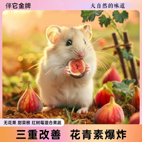 宠物零食果蔬冻干金丝熊用品小兔子花枝鼠仓鼠磨牙专用零食饲料
