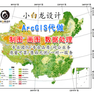 arcgis作图arcgispro分析Gis做图遥感影像遥感数据处理制图分析