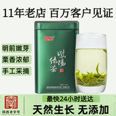 2025新茶现货紫阳富硒茶产区明前采摘嫩芽一级高山云雾绿茶叶250g