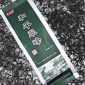 2025新茶紫阳富硒茶产区和平翠峰绿茶浓香栗香绿茶50g自饮口粮茶