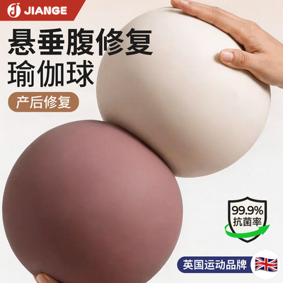 【英国品牌】悬垂腹修复瑜伽球