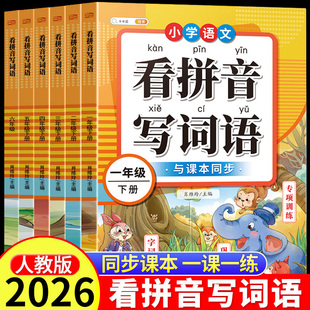看拼音写词语一年级二年级下册三四五六年级上册语文人教版 默写纸能手同步练习册 小学注音生字拼音拼读字词汉字专项强化训练人教版