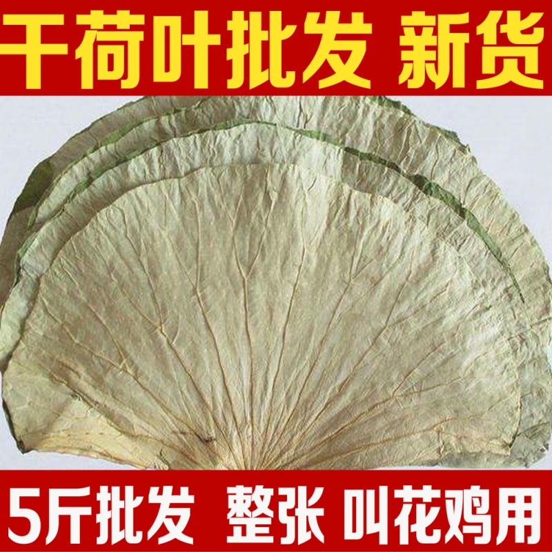 足量500克新货微山湖荷叶包邮批