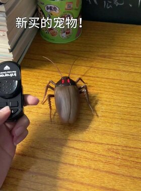 遥控仿真蟑螂玩具整蛊恶搞吓人道具电动昆虫整人互动搞怪解压礼物