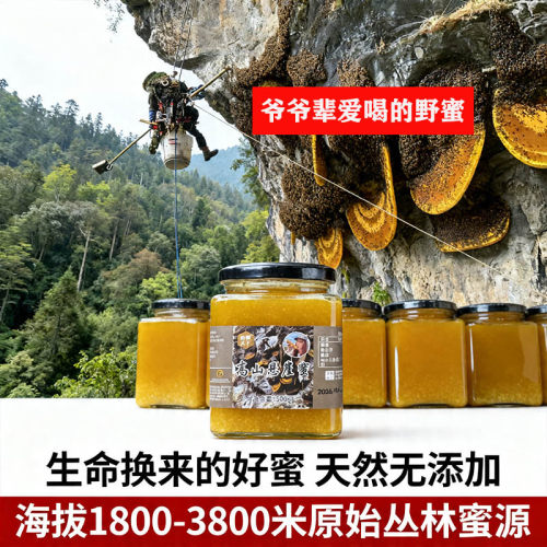 南蜂天下云南高山野生悬崖蜜