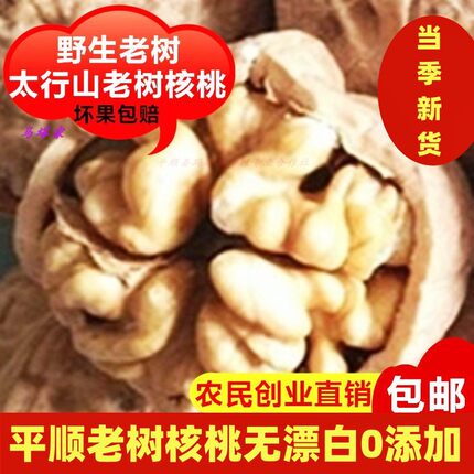 平顺老树核桃精选新货野生核桃山核桃夹子孕妇孩童坚果新核桃仁