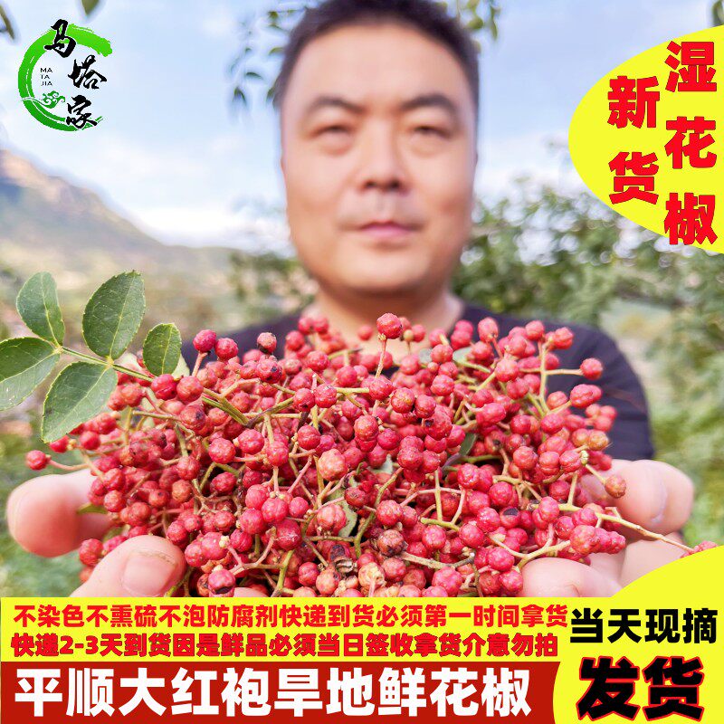 2025新货平顺大红袍花椒调料非四川韩城麻椒包邮鲜花椒500克包邮