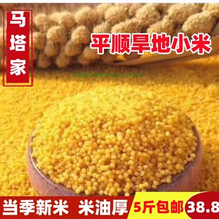 【平顺马塔家】山西特产太行山小黄米新产小米农家小米500克