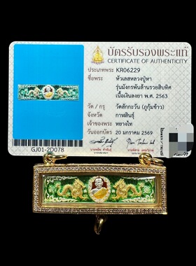 泰国特色正品保证龙婆杭2563双金龙自身纯银质三挂钻壳附萨玛空卡
