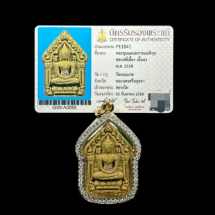 手绘壁虎附鉴定卡 龙婆莲2558坤平一期咩皮坤特别版 泰式 特色正品