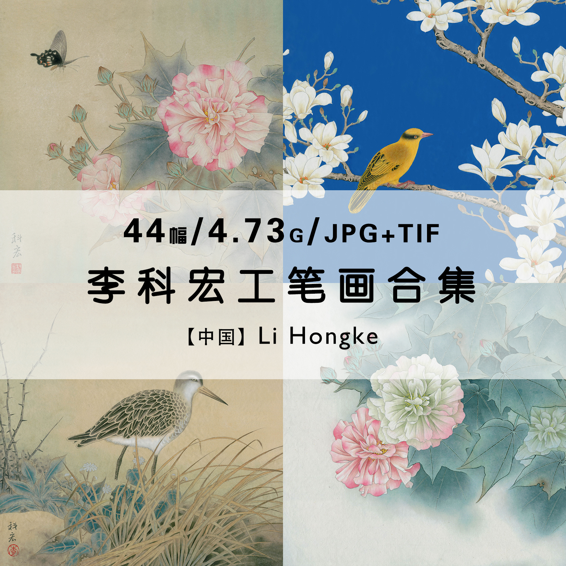 李科宏 绘画合集作品集高清国画水墨工笔画花鸟风景彩绘电子素材