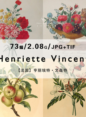亨丽埃特Henriette Vincent法国植物学花卉版画家电子图片集资料