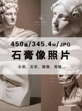 石膏像照片头部五官面部半身像雕塑多光源素描画画参考电子版素材