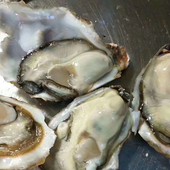 鲜活生蚝 按只卖