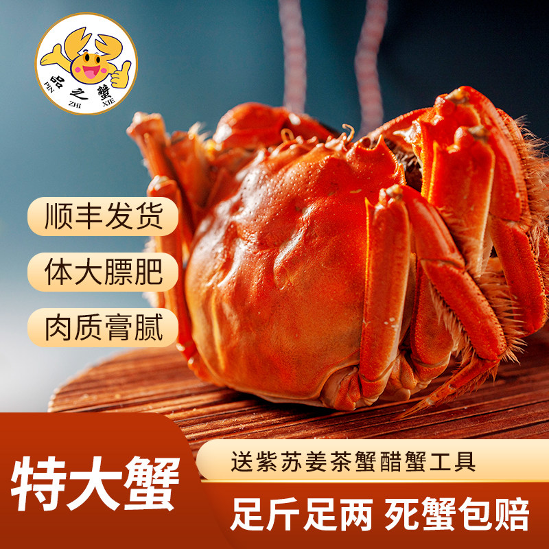 品之蟹现货苏州大闸蟹全公蟹