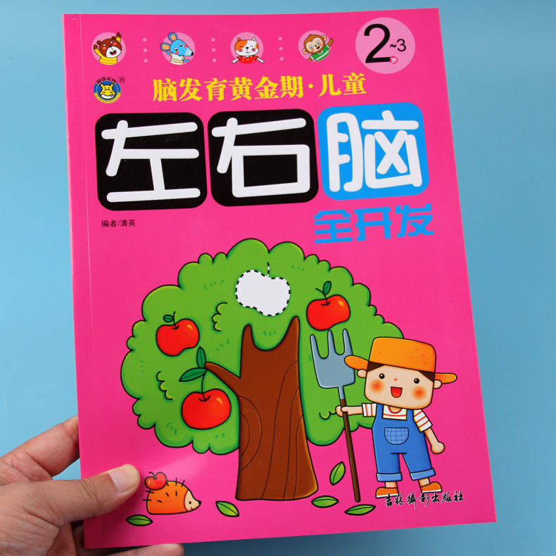 脑发育黄金期2-3岁儿童左右脑全开发关键题数学思维训练中班大班儿童益智书全脑智力大开发逻辑思维训练书籍幼儿宝宝左右脑开发书