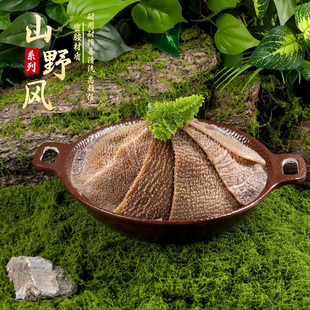 山野风网红特色火锅店专用干冰盘鸭肠盘雪花肥牛意境盘千层毛肚盘