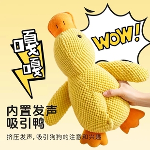 狗狗玩具毛绒发声幼犬小狗宠物比熊泰迪柯基磨牙耐咬自嗨解闷神器
