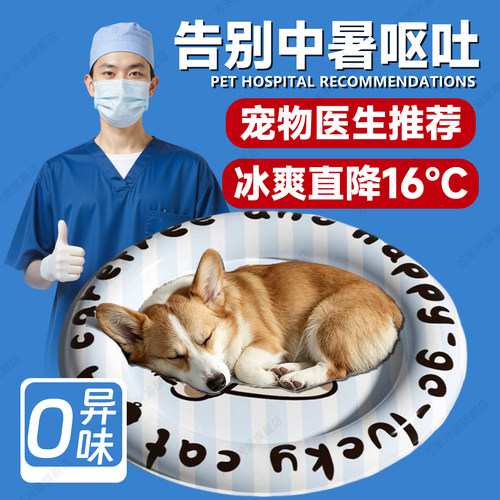 夏天宠物冰垫凉席垫子狗狗凉垫猫咪冰床睡垫地垫降温神器夏季冰窝