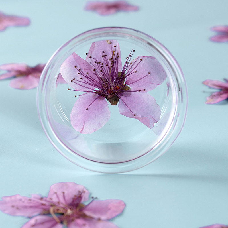 幼儿手工桃花植物标本diy滴胶押花手机壳书签幼儿园手工树叶贴画