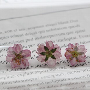 干花压花diy手工滴胶麦李DIY植物标本花瓣妆材料天然真花押花相框