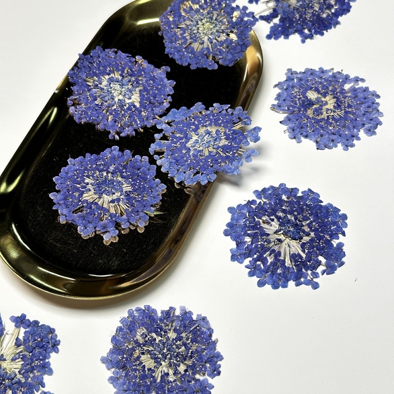 干花亲子diy压花画花朵素材料植物标本翠珠花装饰画相框儿童手饰,家居饰品,干花/花瓣/干花包/干树枝,淘宝优惠券,粉丝福利购,淘宝优惠卷