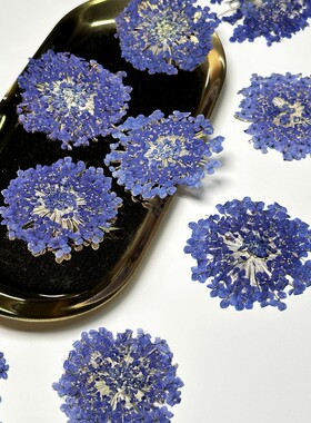 干花亲子diy压花画花朵素材料