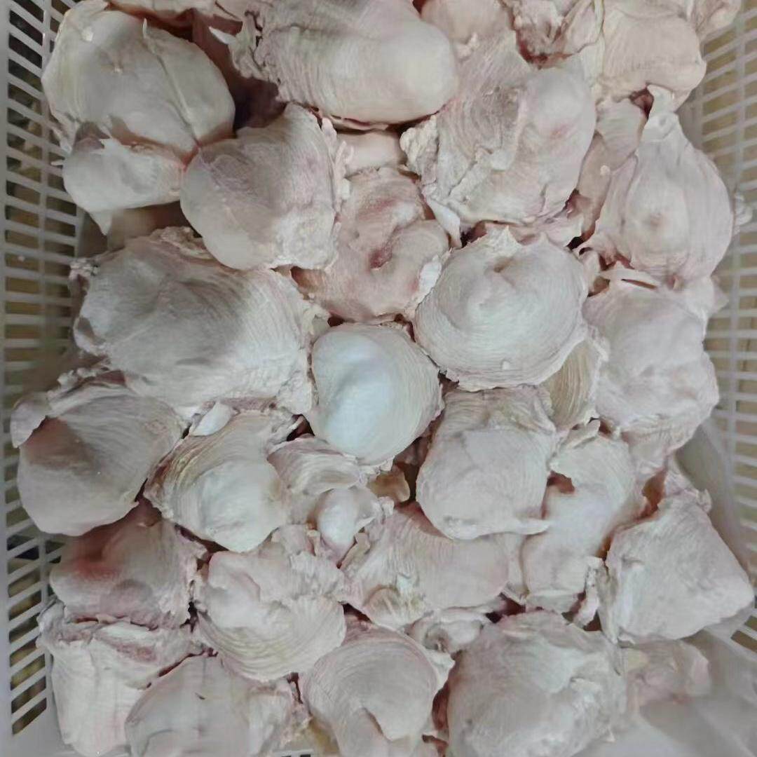 新鲜牛骨膜烧烤泡水干骨膜凉拌菜其它生肉制品