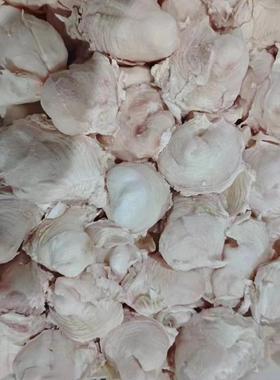 新鲜牛骨膜烧烤泡水干骨膜凉拌菜爆炒骨垫腰椎间盘源头直供商黄牛