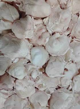 新鲜牛骨膜烧烤泡水干骨膜凉拌菜爆炒骨垫一斤价十斤包邮大排档