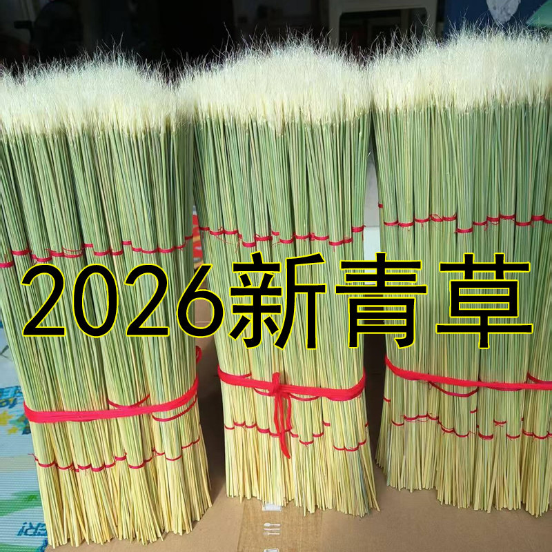 鲁秋鸣当年青草斗草蛐蛐油葫芦
