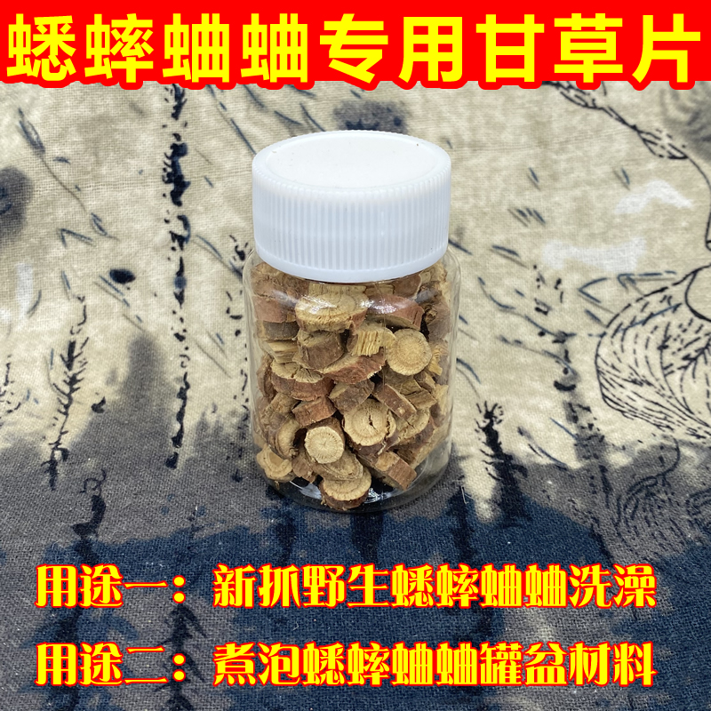 鲁秋鸣蟋蟀蛐蛐洗澡煮泥罐甘草片