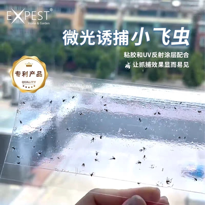 抓小飞虫EXPEST微光粘虫板粘苍蝇飞虫飞蛾诱捕器贴窗户纱窗小飞虫