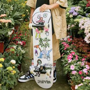 沸点JUSTICE野丸子怪诞森林新手初学者男女专业双翘滑板