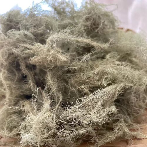 松萝 云雾草龙须草金钱草金丝藤 松毛 女萝 天蓬草老君须松上寄生