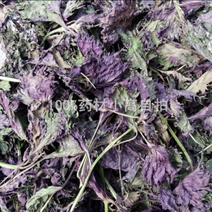 天然紫苏叶子 干货500g包邮 做鱼虾蟹去腥香料紫苏叶