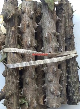 新鲜刺楸 鼓钉刺 刺风树 鸟不宿 钉木树 丁桐 刺桐 云楸树500g