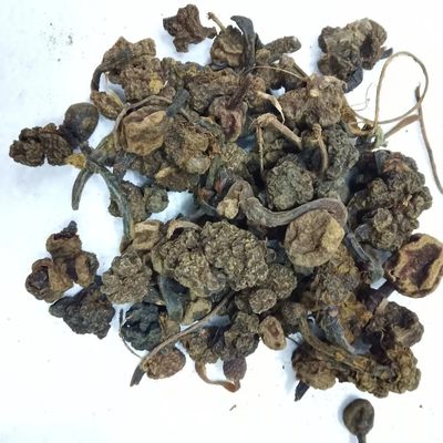 天然红冬蛇菰 文王一支笔 借母怀胎 鹿仙草蛇菇 回春草干货500g