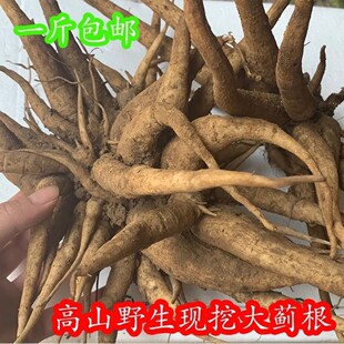 新鲜大蓟根草 刺蓟根 马蓟根 虎蓟根 刺儿菜根 纯根500g包邮
