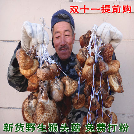 东北2025新野生猴头菇干货特产养胃可打猴菇粉特级非养殖猴头菇
