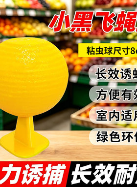 果蝇粘虫器粘虫球室内去除神小飞虫灭飞虫器蚊虫诱小黑飞蝇虫粘捕