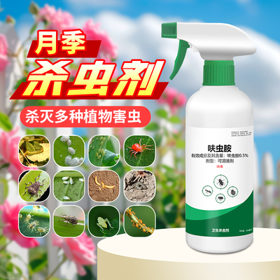 月季花病虫害常用药白粉黄叶黑斑花卉杀虫剂专用药病非红蜘蛛蚜虫