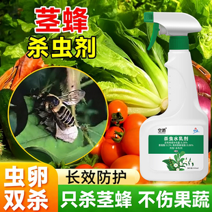 茎蜂专用杀虫剂月季玫瑰花切叶蜂专用药茎蜂花卉园艺杀虫剂气雾剂