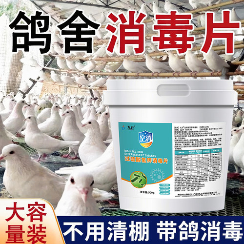 鸽子专用消毒液过硫酸氢钾消毒剂鸽舍鸽子笼喷雾消毒液养殖场专用