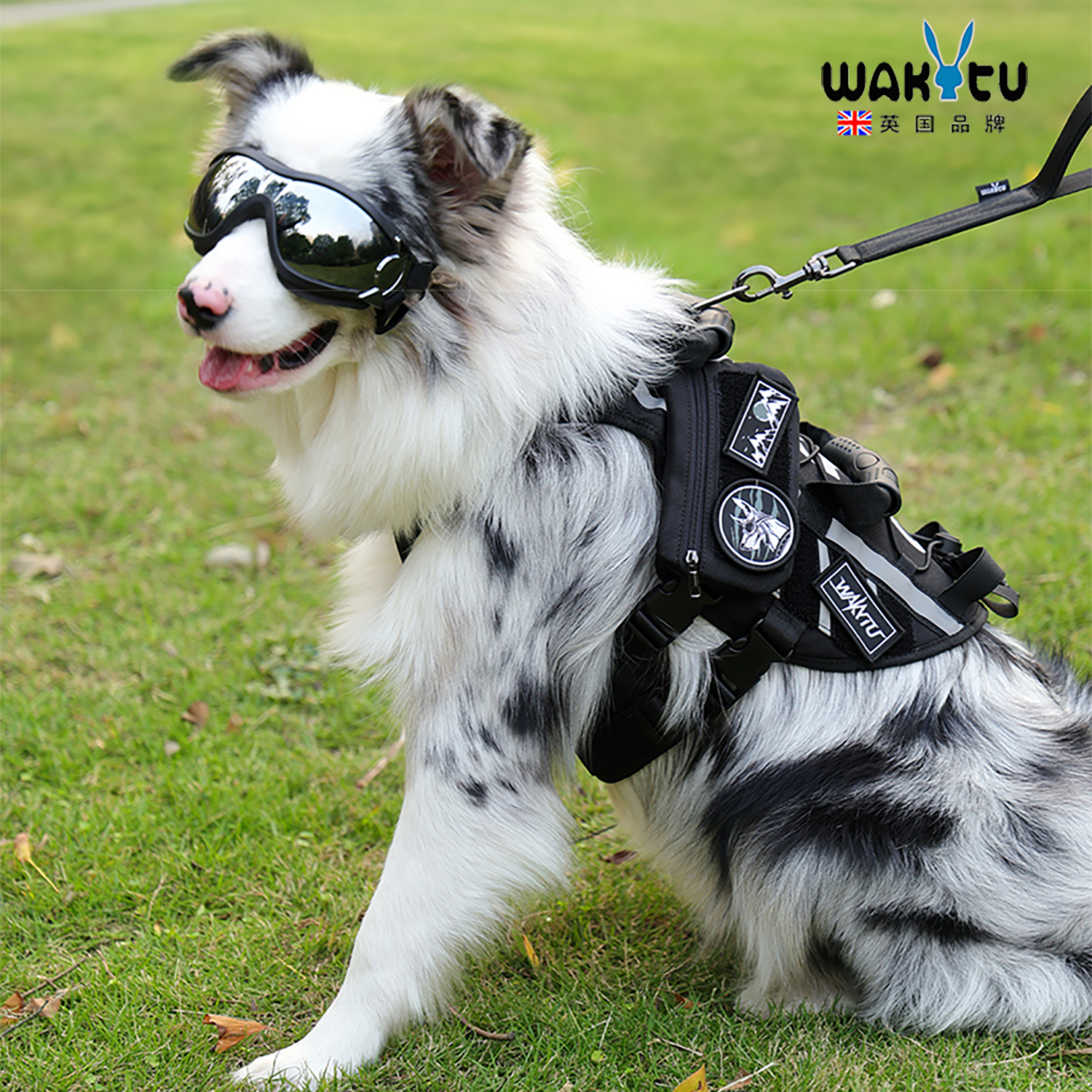wakytu狗狗胸背牵引绳边牧金毛背心式战术胸背带中大型犬遛狗绳