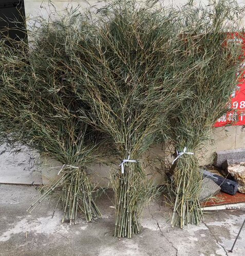 竹扫把大扫把大号老式马路扫帚庭院户外工厂车间用竹扫把原材料