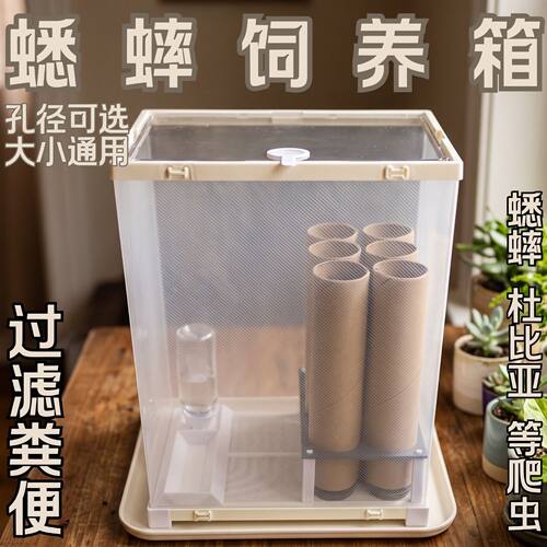 蟋蟀蟑螂针头饲养箱过滤通风防臭