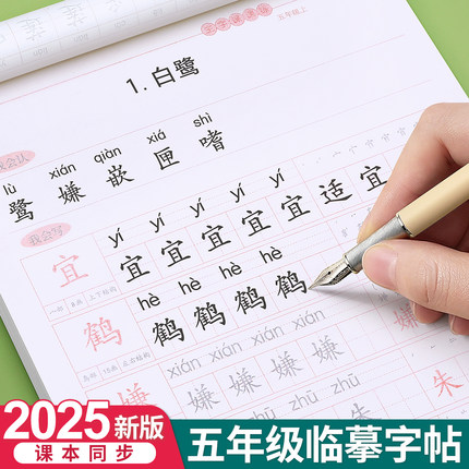 五年级上册下册课本同步语文字帖人教版小学生练字帖笔画笔顺初学5每日一练楷书专用21天写字帖贴生字练习本正楷钢笔临摹硬笔书法